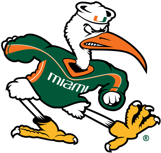 Miami Hurricanes 2000-Pres Alternate Logo v2 diy DTF decal sticker